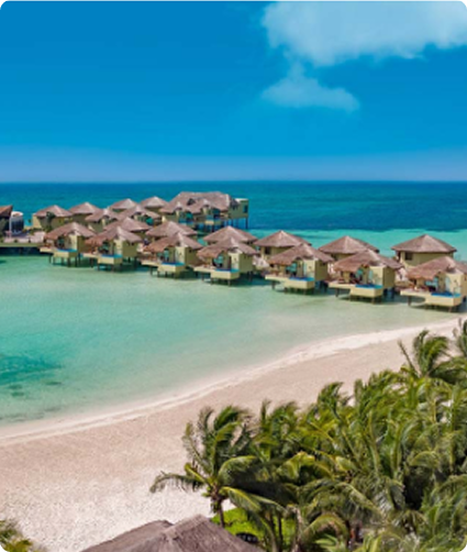 Rectangle 16 - 2026-01-28T095608.838